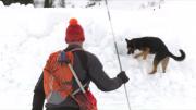 Une formation pour les chiens d'avalanche